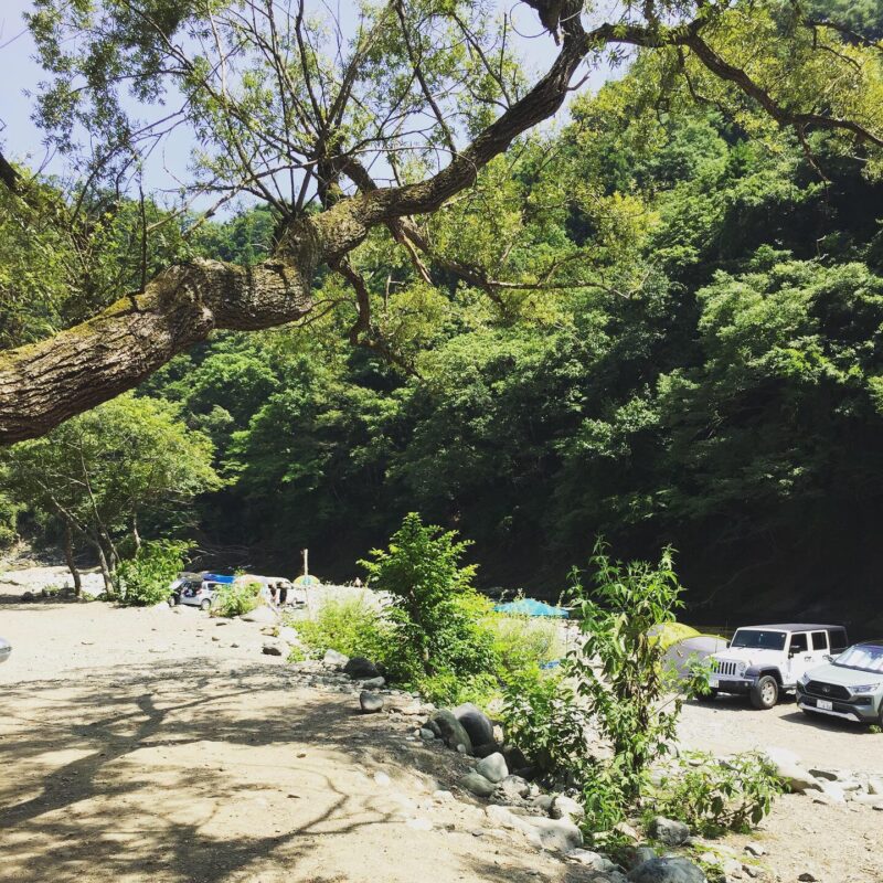 CAMP場