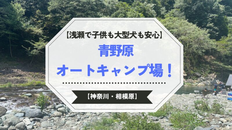 大型犬OK！青野原オートキャンプ場でBBQと川遊びを満喫するデイキャンプレビュー