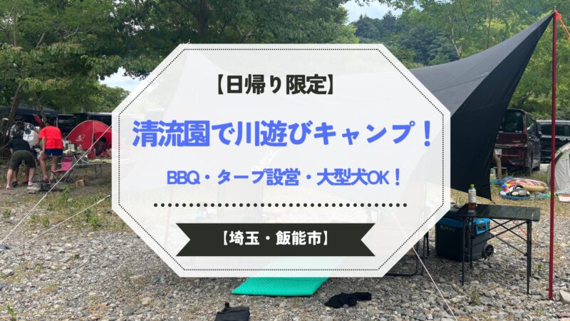 【日帰り限定】埼玉・飯能市の清流園で川遊びキャンプ。BBQ・タープ設営・大型犬OKの浅瀬で家族も安心して遊べるスポット。