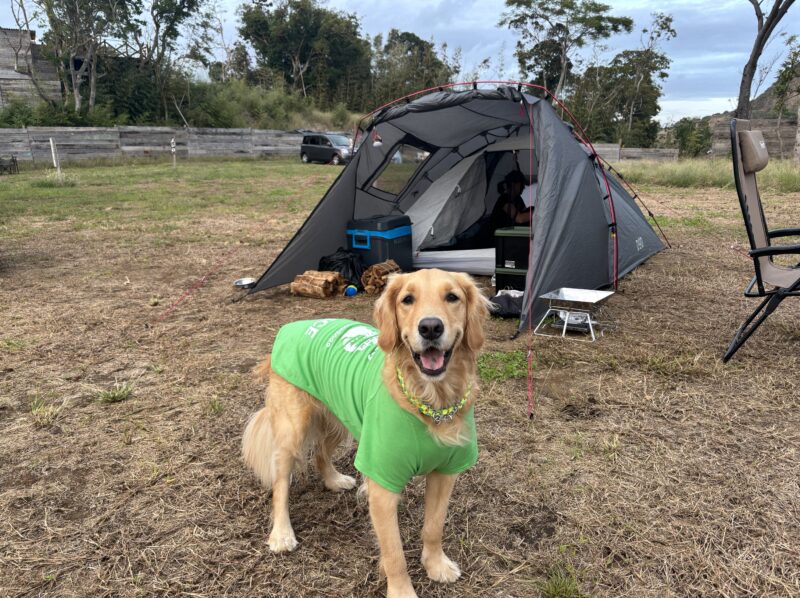 DODテントとピース