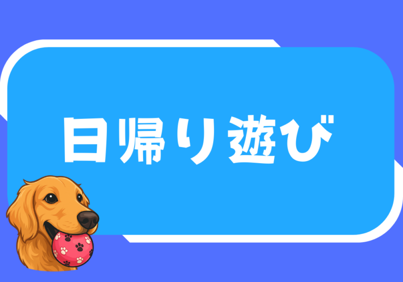 日帰り遊び